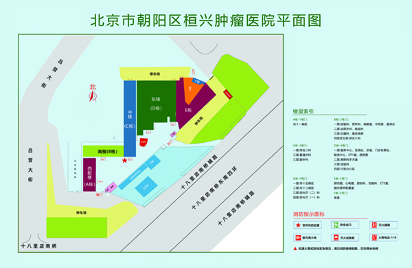 啊啊啊性操日北京市朝阳区桓兴肿瘤医院平面图